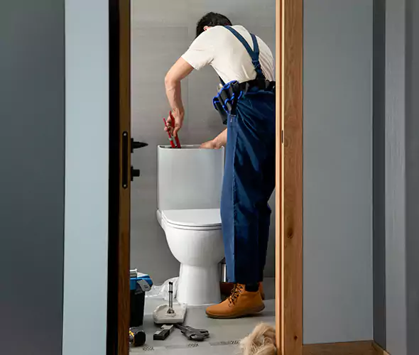 Professional Plumbers for Toilet Bowl Replacement in Acworth, GA: Schedule Affordable Toilet Replacement Services With Us